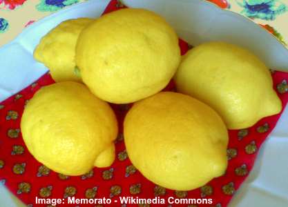 Primofiori 레몬
