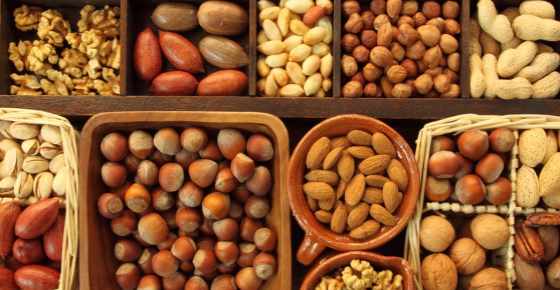 Nut Types Stock Photo By ©fotokris44 7924581, 57% OFF