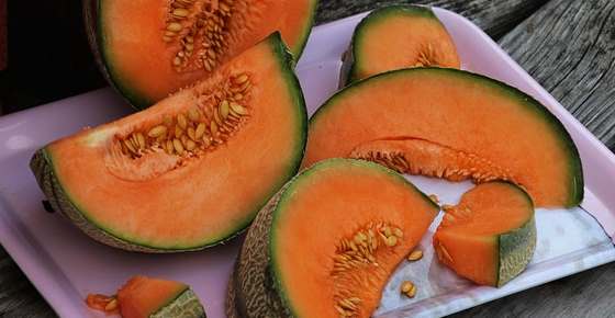 kinds-of-melons-in-dishes-fruits-and-vegetables-melon-the-other