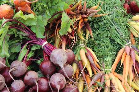 Types of vegetables: examples of roots and tubers