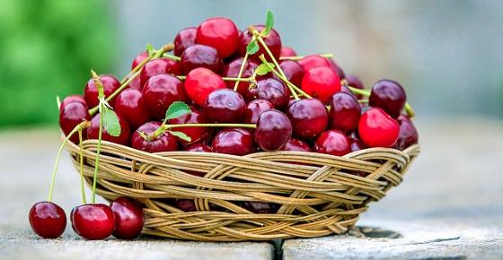 Types of Cherries: Varieties of Sweet and Tart (Sour) Cherries