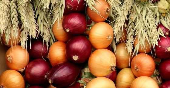 Types of Onions: Varieties of Onions