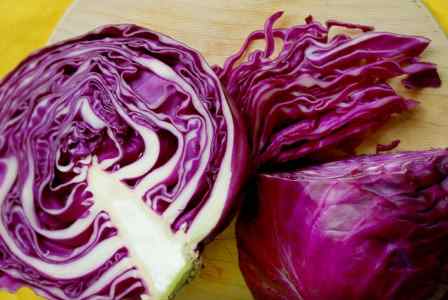 Types of Cabbage: Delicious Cabbage Varieties (Including Pictures and Names)