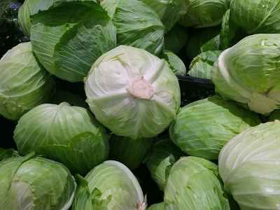14 Types of Cabbage: Green, Red, White, Savoy, Napa, and More Varieties