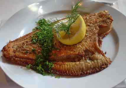 plaice