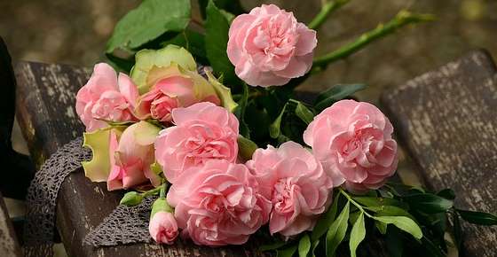 The Most Popular Flowers In The World With Name And Picture