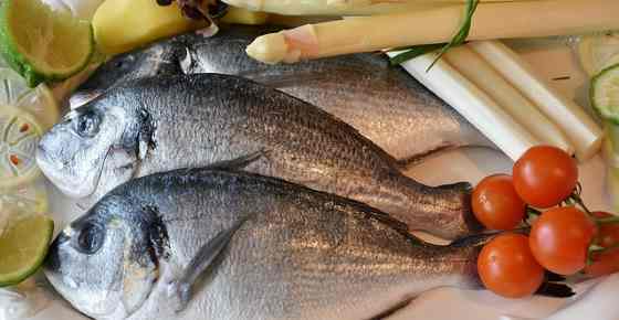 Most Popular Edible Sea Fishes