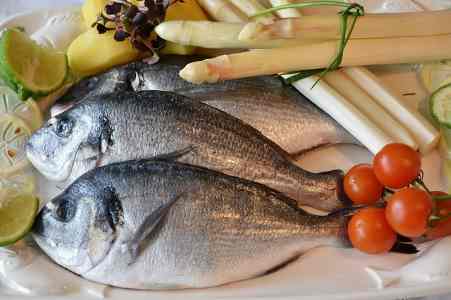 sea bream