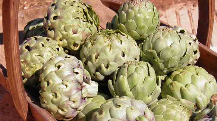 Globe Artichoke