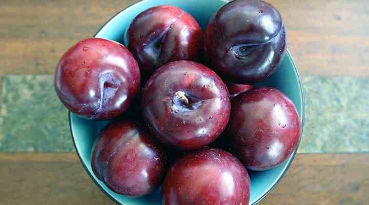 Types Of Plums Varieties