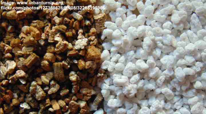 Perlite vs Vermiculite