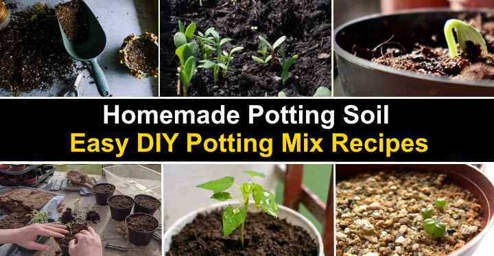 Homemade Potting Soil 8 Easy Diy