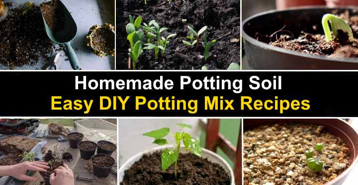 How to Make Potting Soil for Indoor Plants