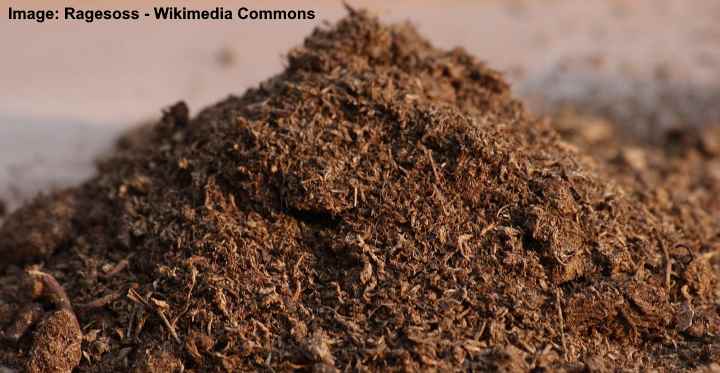 What Is Peat Moss: Tips For Using Peat Moss In Gardens