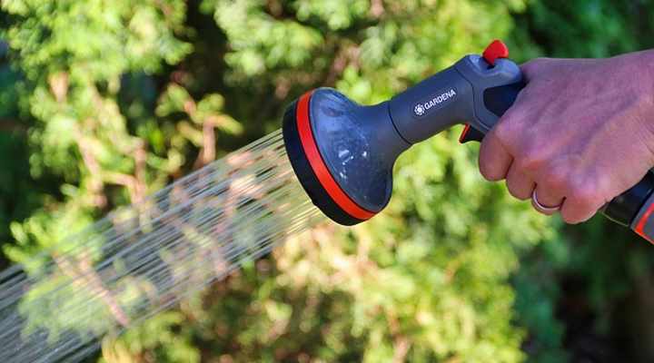 kill red spider mites by hosing them