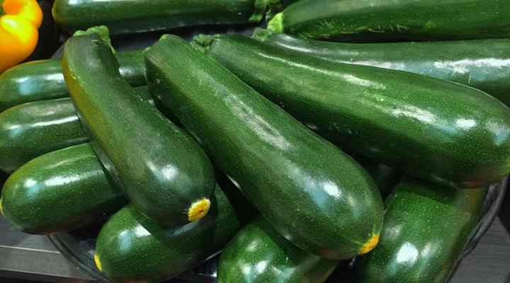 Zucchini (Cucurbita pepo)