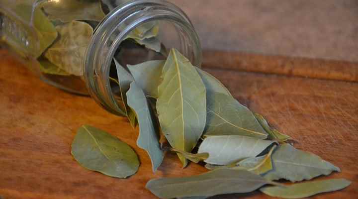 Dried bay leaves