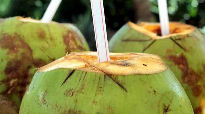 young coconut