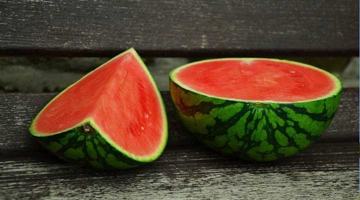 Watermelon (Citrullus lanatus)