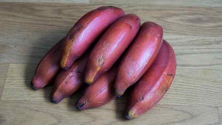 Red Banana (Musa acuminata ‘Red Dacca’)