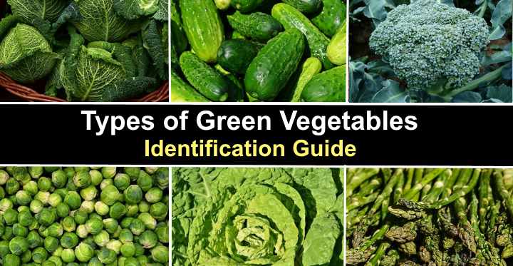 name of green leafy vegetables