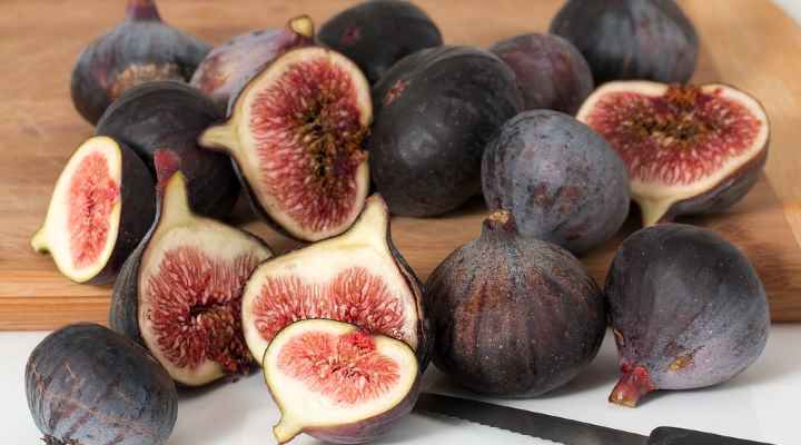 Fig (Ficus carica)