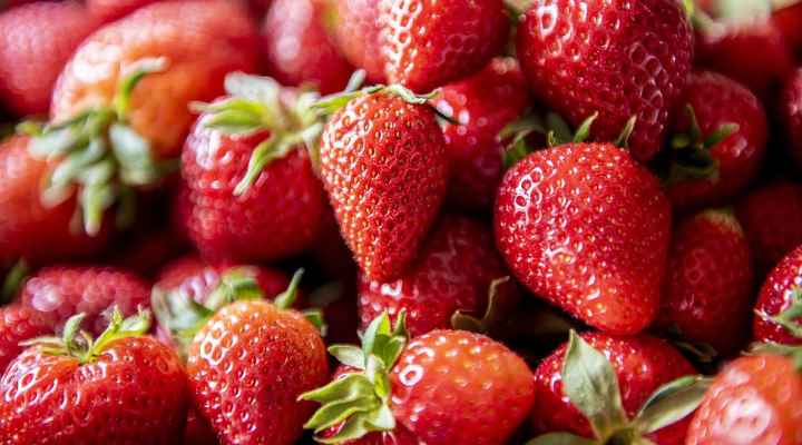 Strawberry (Fragaria × ananassa)