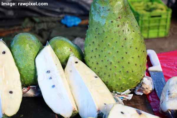 Soursop (Annona muricata)