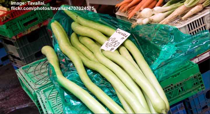 Types of Gourds With Pictures and Identification Chart