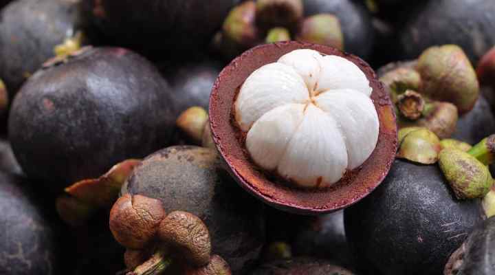 Mangosteen (Garcinia mangostana)