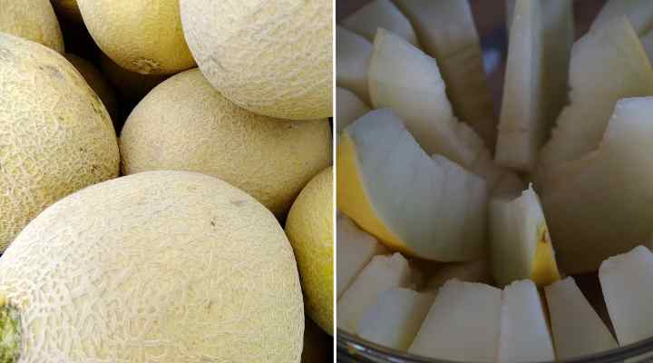 White Honeydew Melon (Cucumis melo)