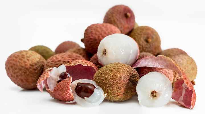 Lychee (Litchi chinensis)