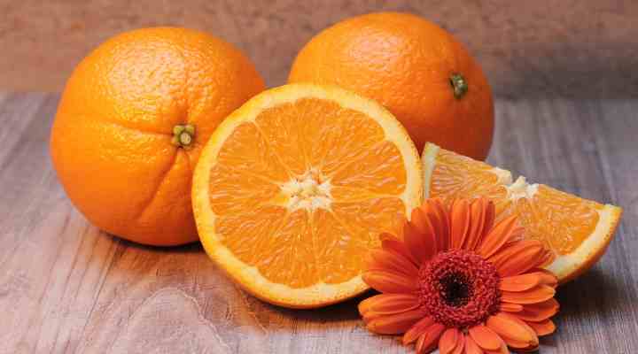 Orange (Citrus × sinensis)