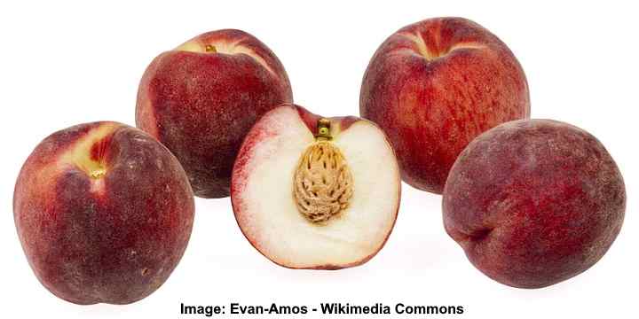 White Peaches (Prunus persica)